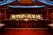 Stein Haus slot